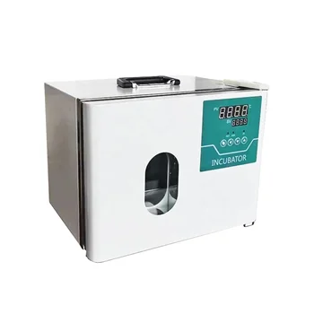 Laborator mini incubator termostat bacteriologice incubator portabil laborator convecție naturală incubator