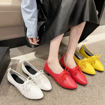 Nou Pantofi Plat pentru Femei 2023 Toamna Pantofi Casual Confortabil Moale Subliniat Toe Pantofi pentru Femei Dantelă-Up în aer liber tv cu Pantofi de Mers pe jos